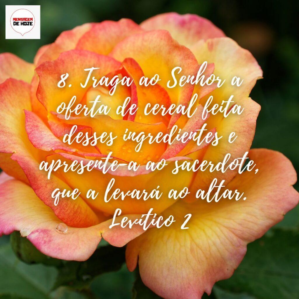 Salmos 05 de Dezembro de 2022 11