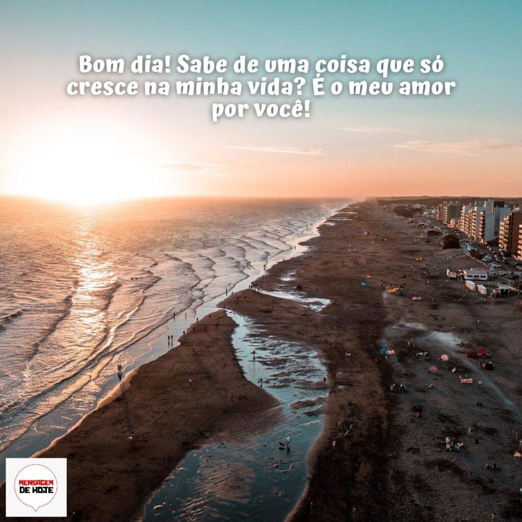 Bom Dia 17 de Dezembro de 2022 11