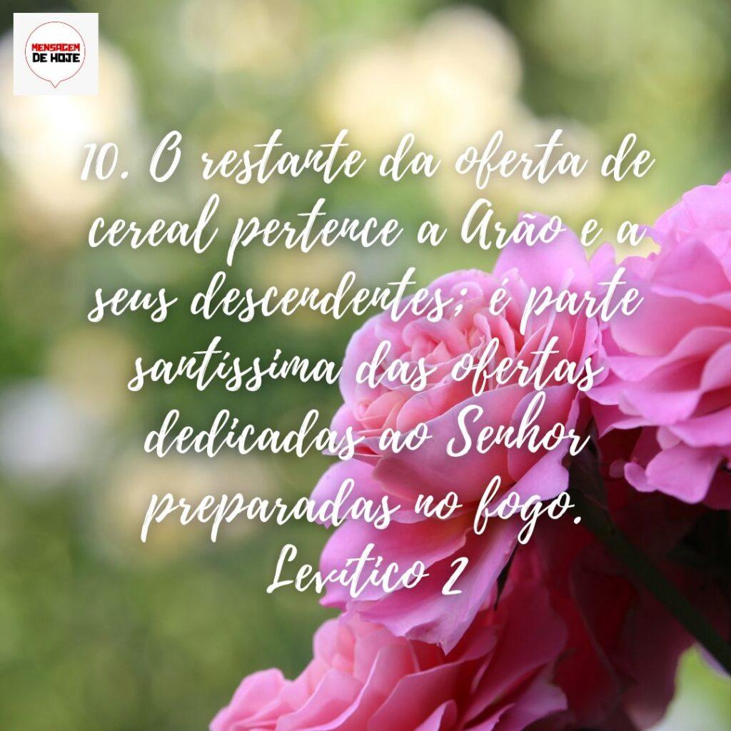Salmos 05 de Dezembro de 2022 15