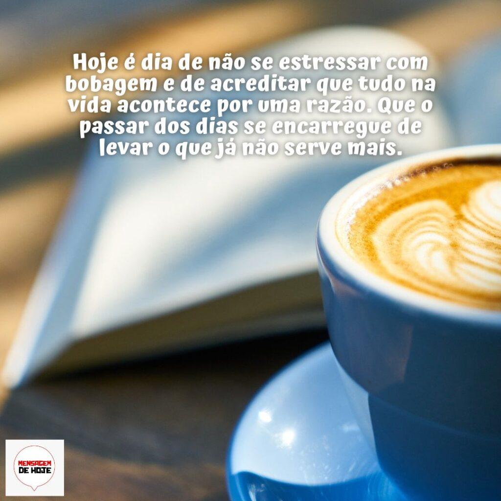Bom Dia 17 de Dezembro de 2022 17