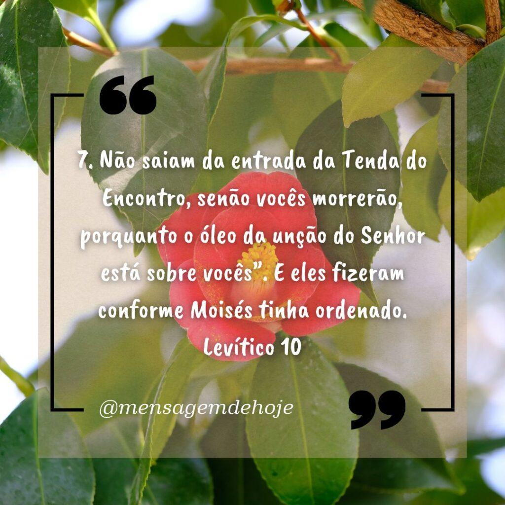 Salmos 15 de Janeiro de 2023 19
