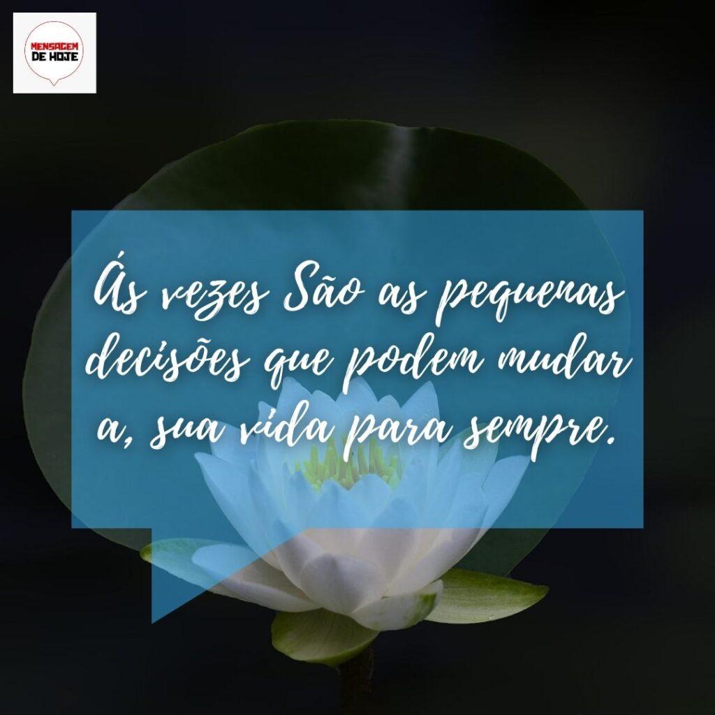 Pensamentos 14 de Janeiro de 2023 1