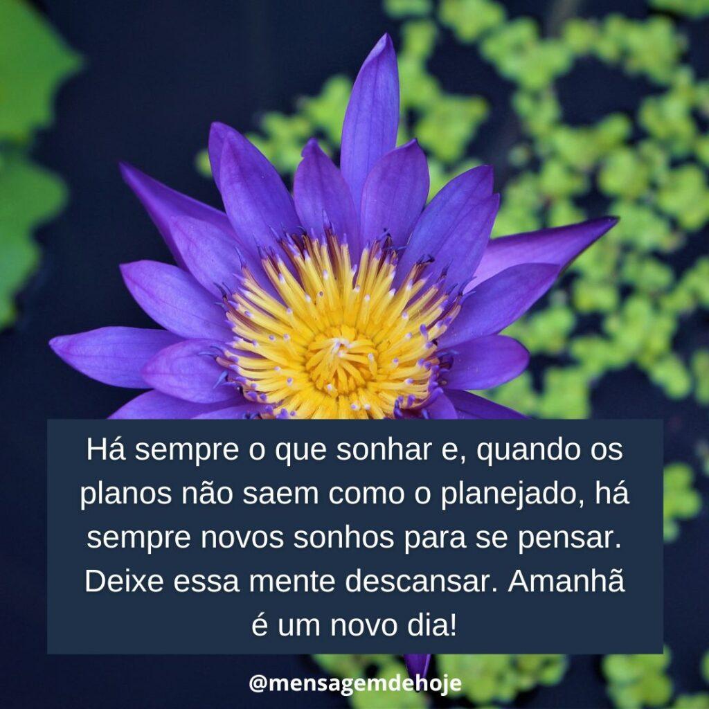 Boa Noite 17 de Janeiro de 2023 7