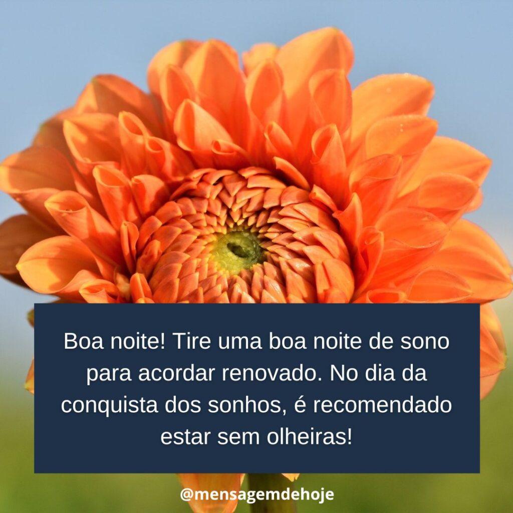 Boa Noite 17 de Janeiro de 2023 3