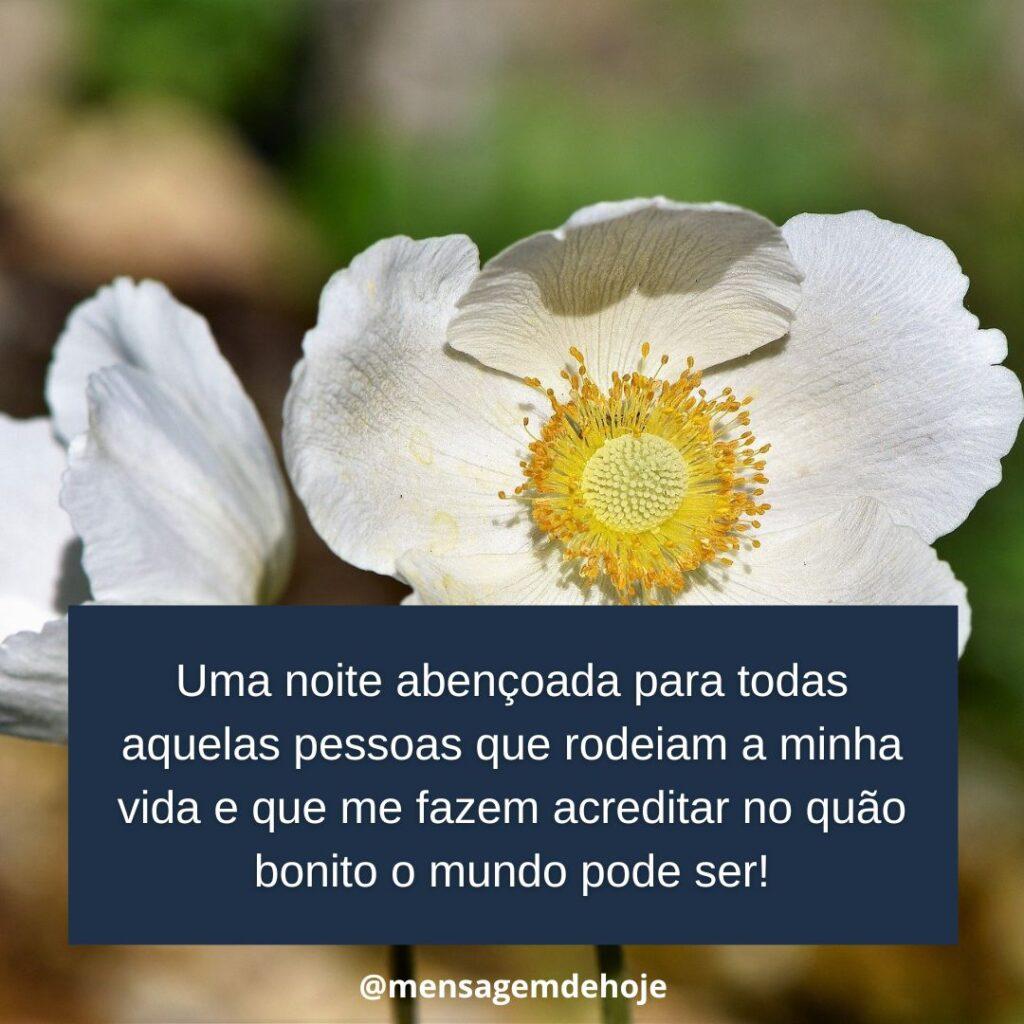 Boa Noite 18 de Janeiro de 2023 9