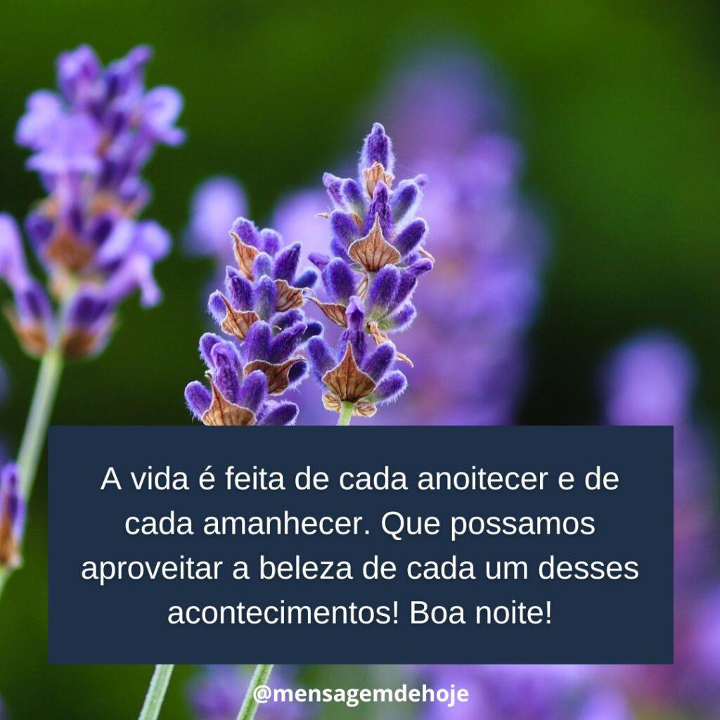 Boa Noite 18 de Janeiro de 2023 5