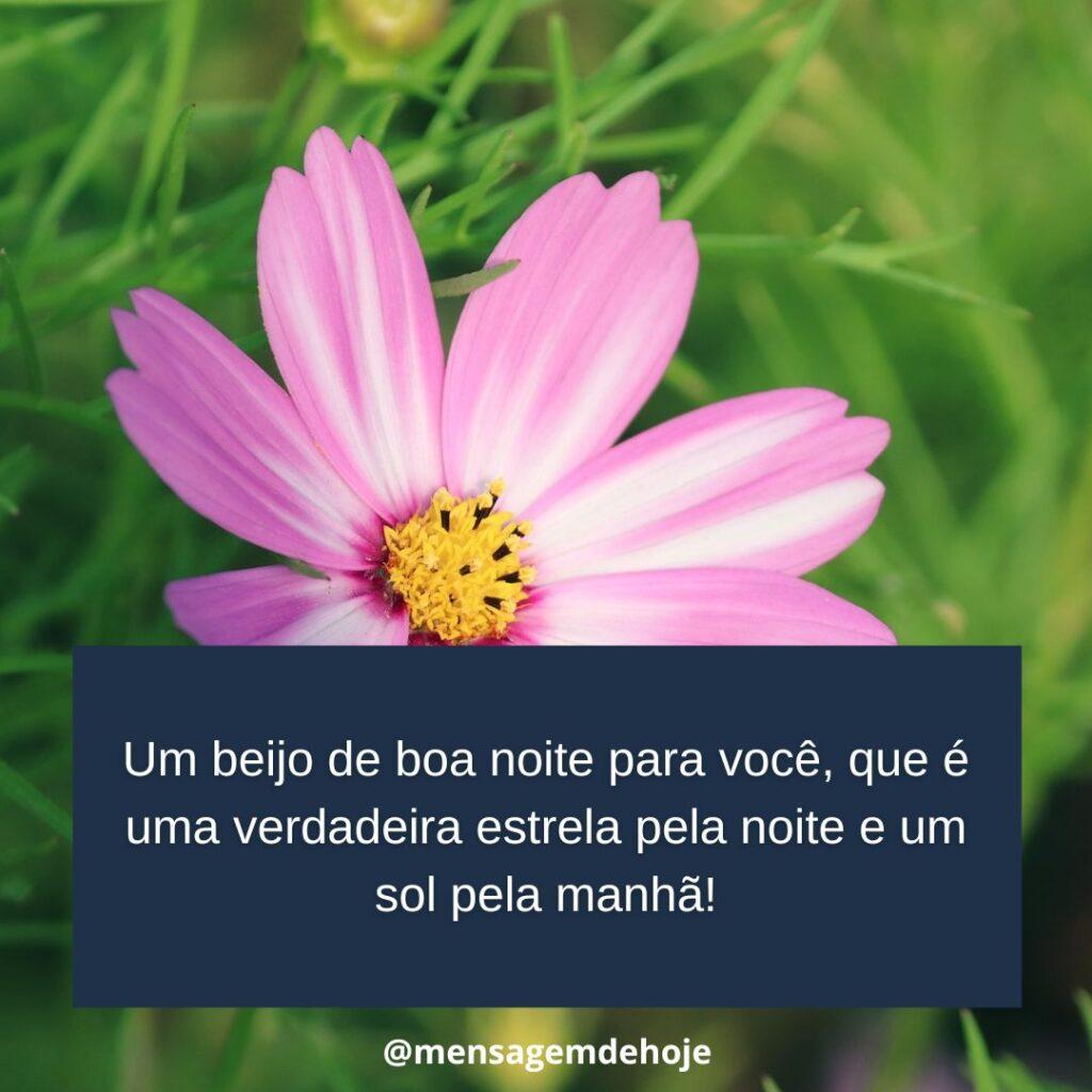 Boa Noite 19 de Janeiro de 2023 11