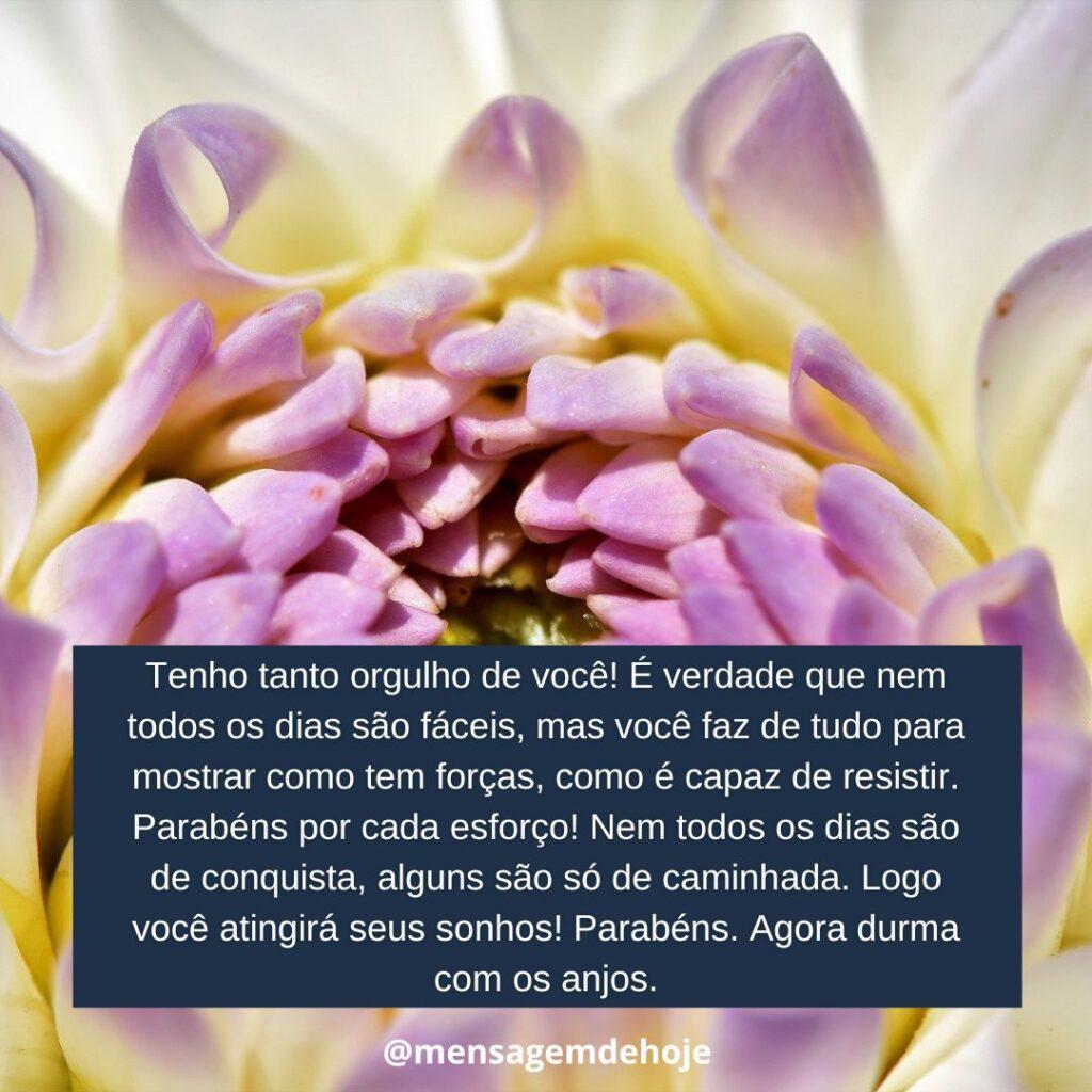Boa Noite 19 de Janeiro de 2023 15