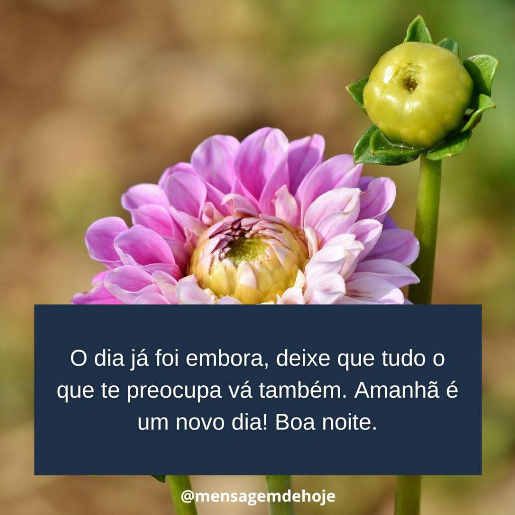 Boa Noite 19 de Janeiro de 2023 19