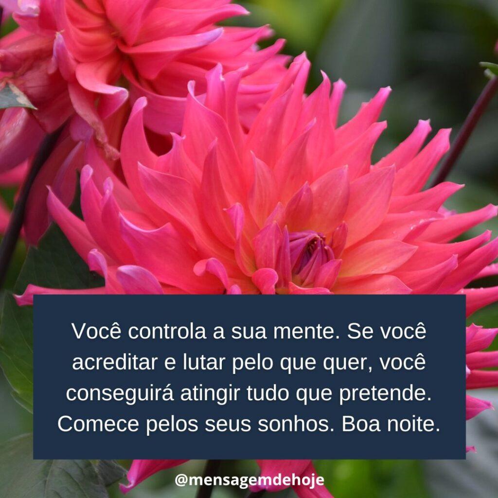 Boa Noite 07 de Janeiro de 2023 11