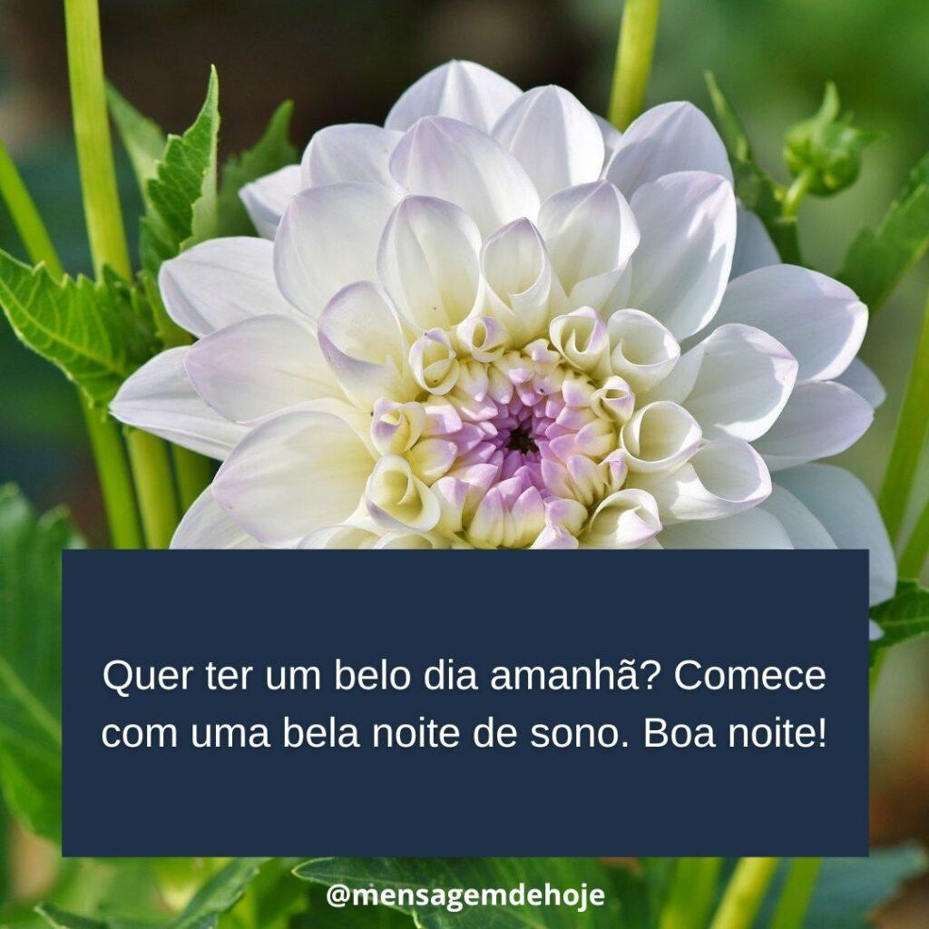 Boa Noite 20 de Janeiro de 2023 11