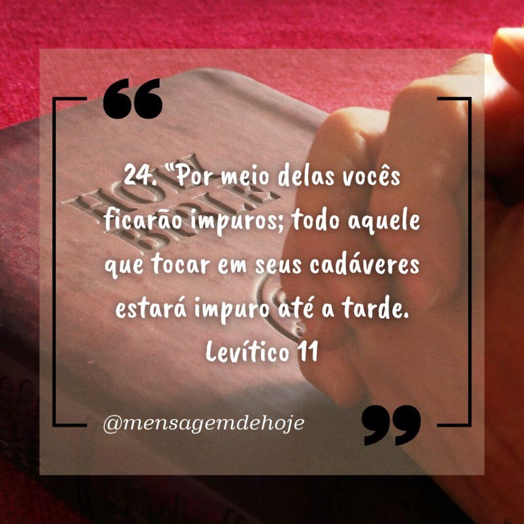 Salmos 19 de Janeiro de 2023 13