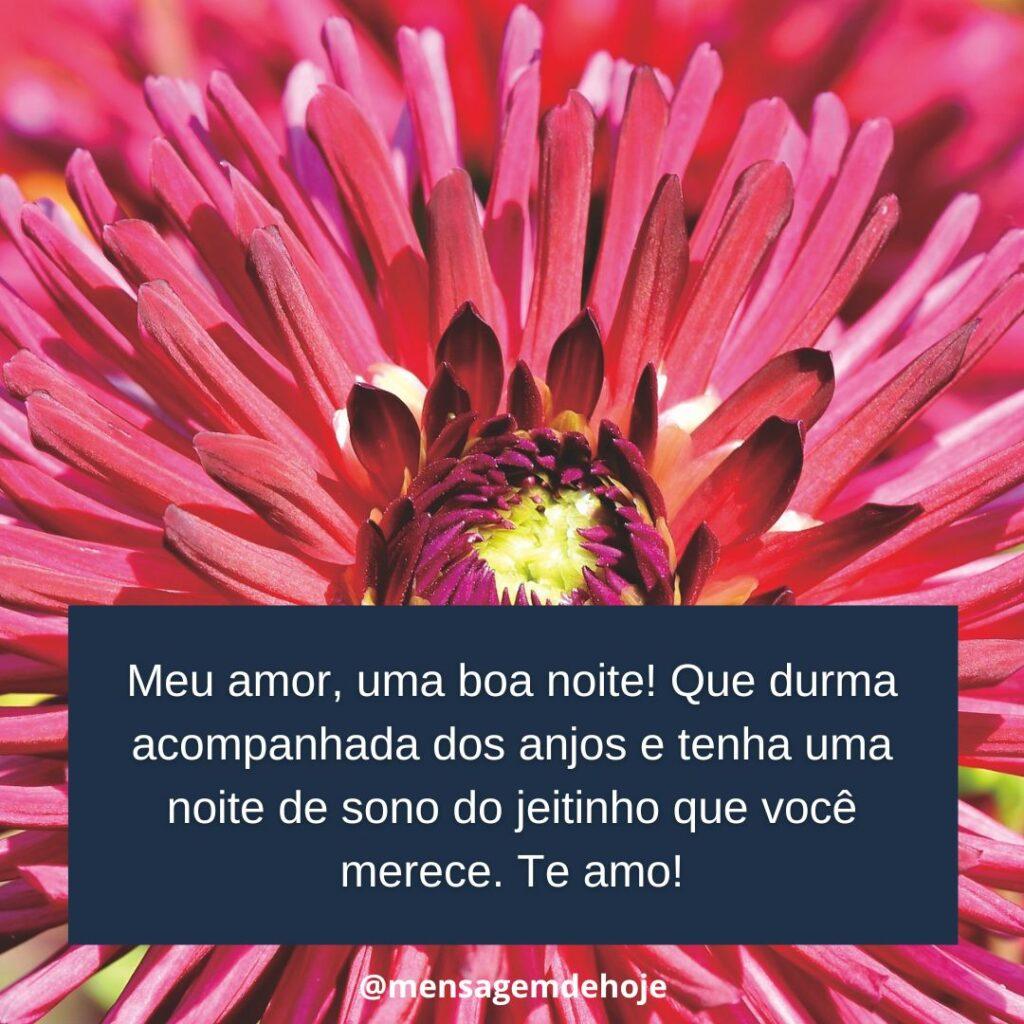 Boa Noite 20 de Janeiro de 2023 15