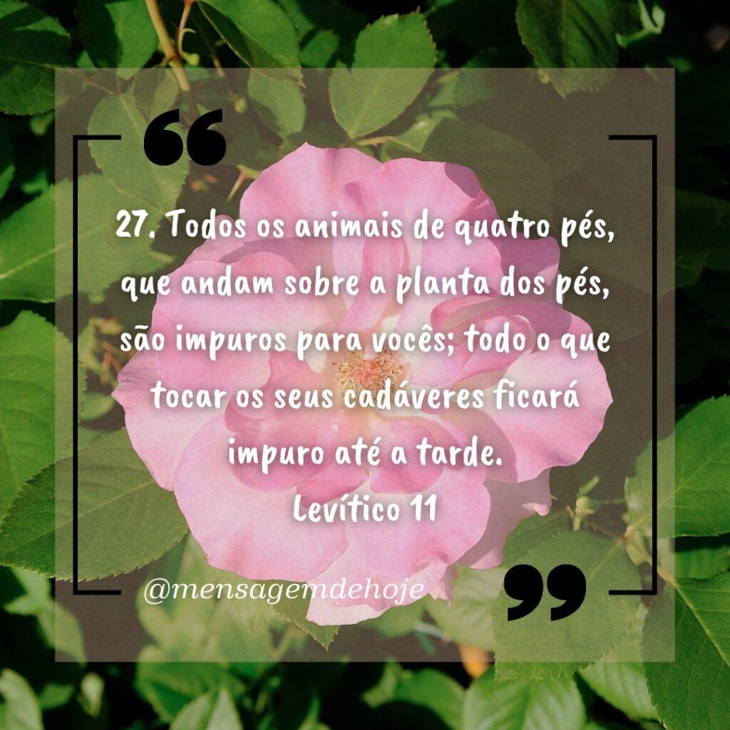 Salmos 19 de Janeiro de 2023 19