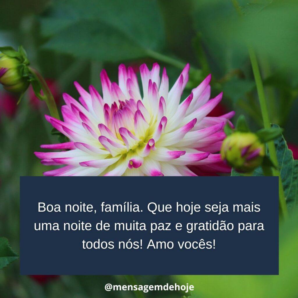 Boa Noite 20 de Janeiro de 2023 19