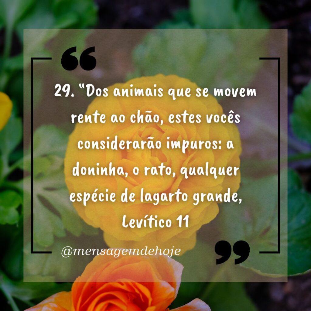Salmos 19 de Janeiro de 2023 3