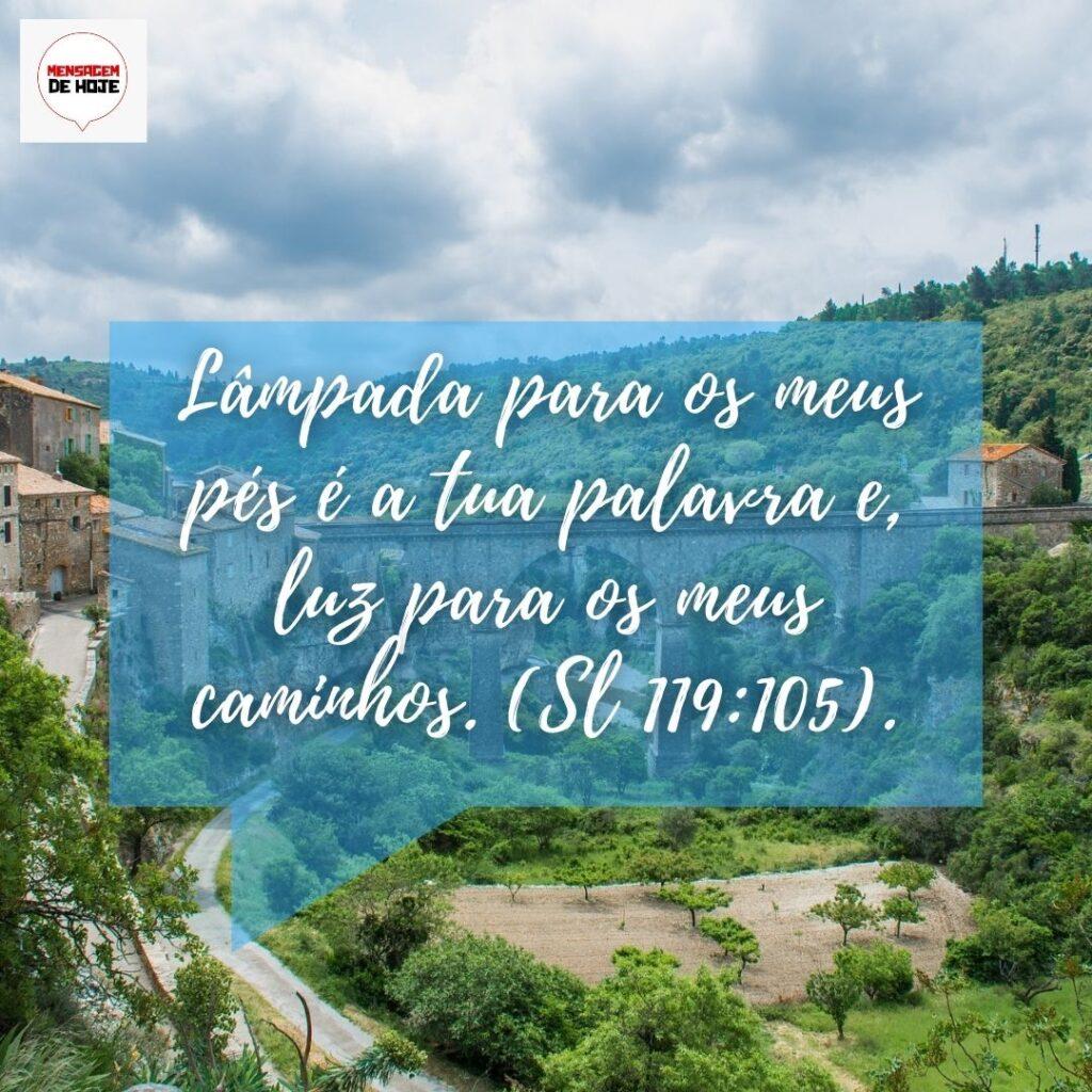 Pensamentos 25 de Janeiro de 2023 19
