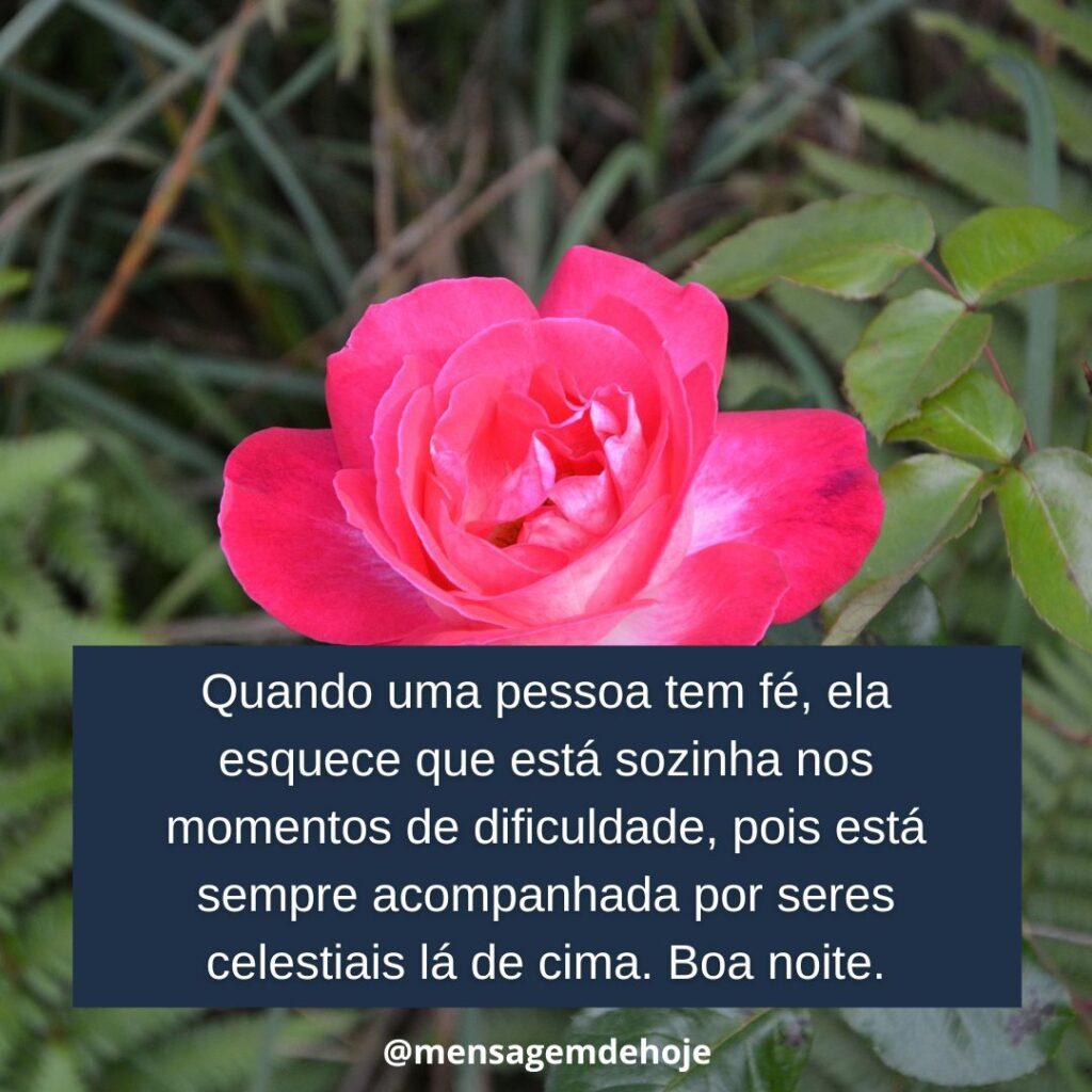Boa Noite 07 de Janeiro de 2023 15