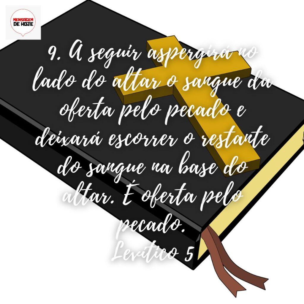 Salmos 01 de Janeiro de 2023 11