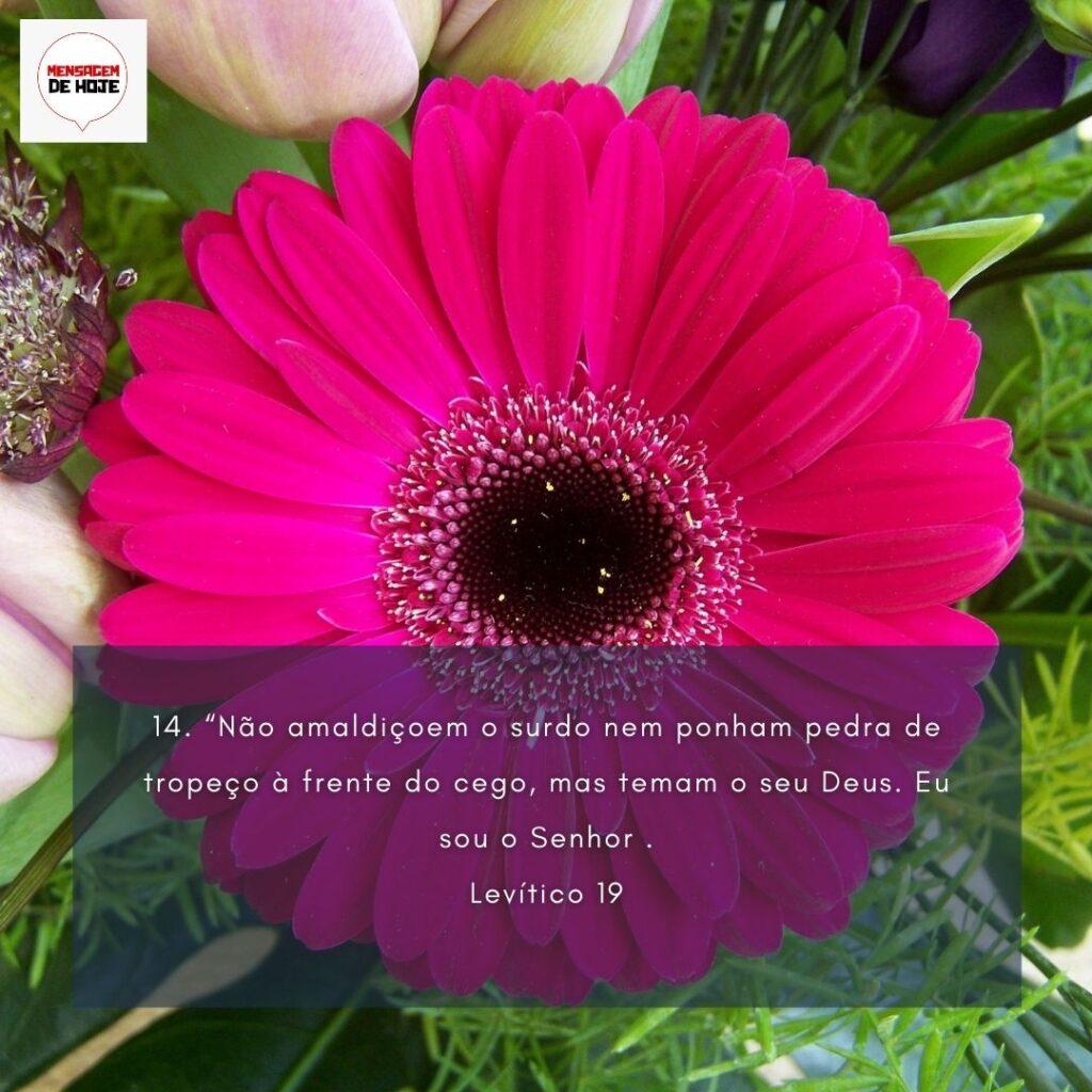 Salmos 26 de Janeiro de 2023 1