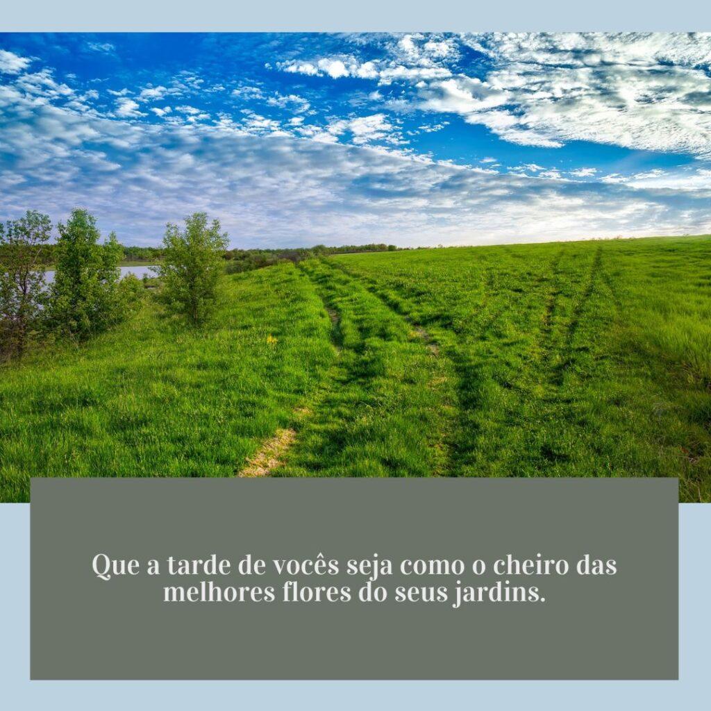 Boa Tarde 17 de Janeiro de 2023 7