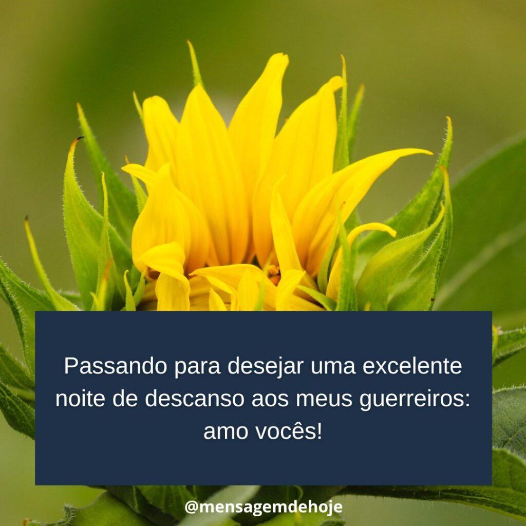 Boa Noite 23 de Janeiro de 2023 19