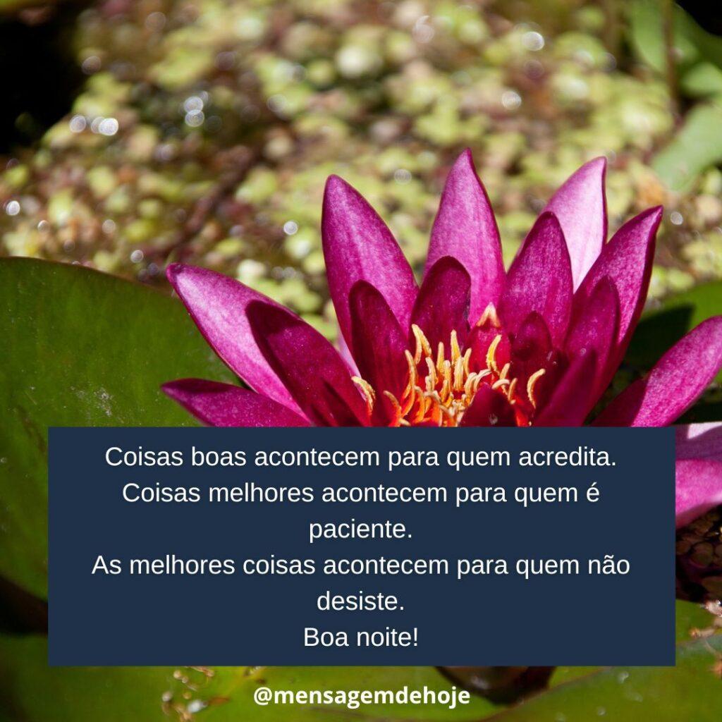 Boa Noite 07 de Janeiro de 2023 3