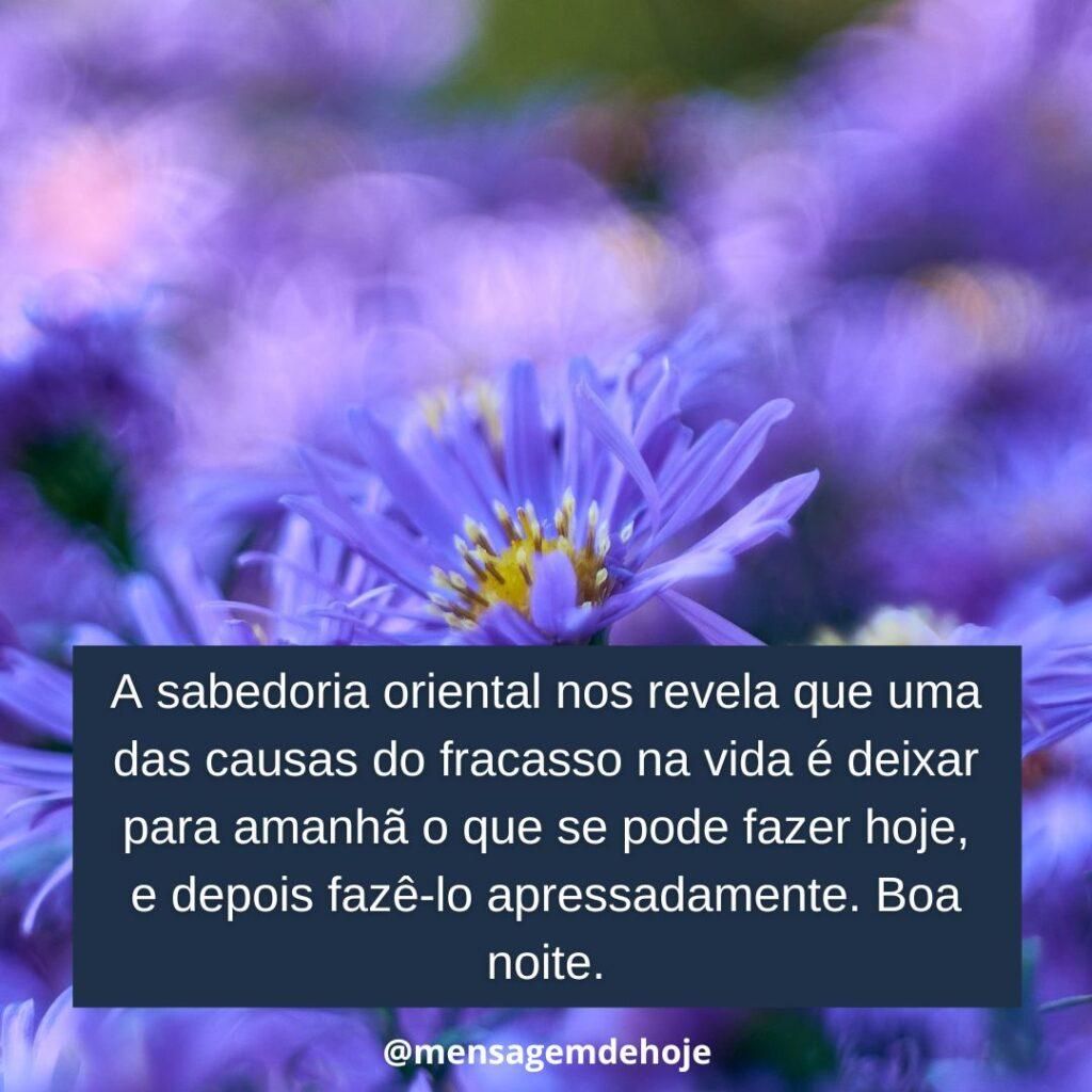Boa Noite 08 de Janeiro de 2023 11
