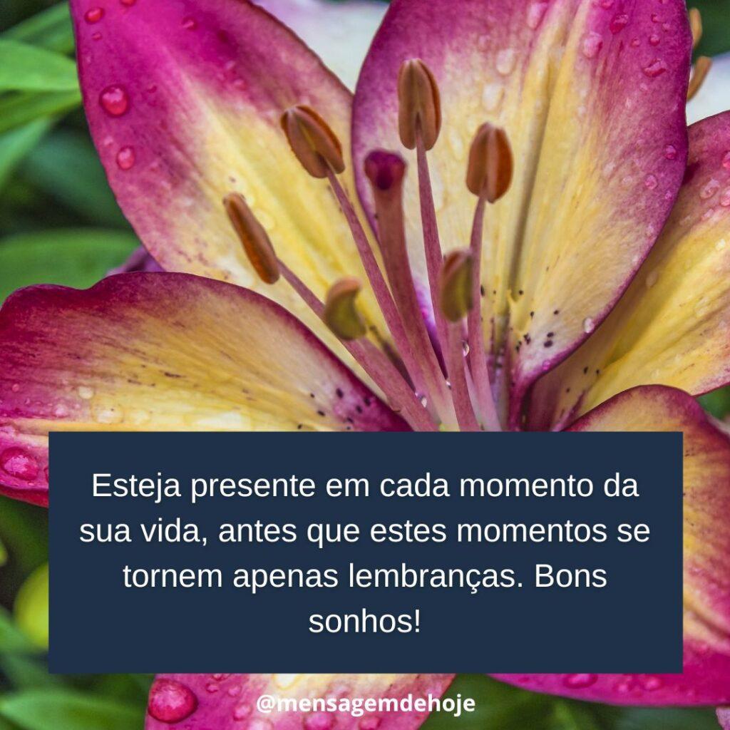 Boa Noite 08 de Janeiro de 2023 15
