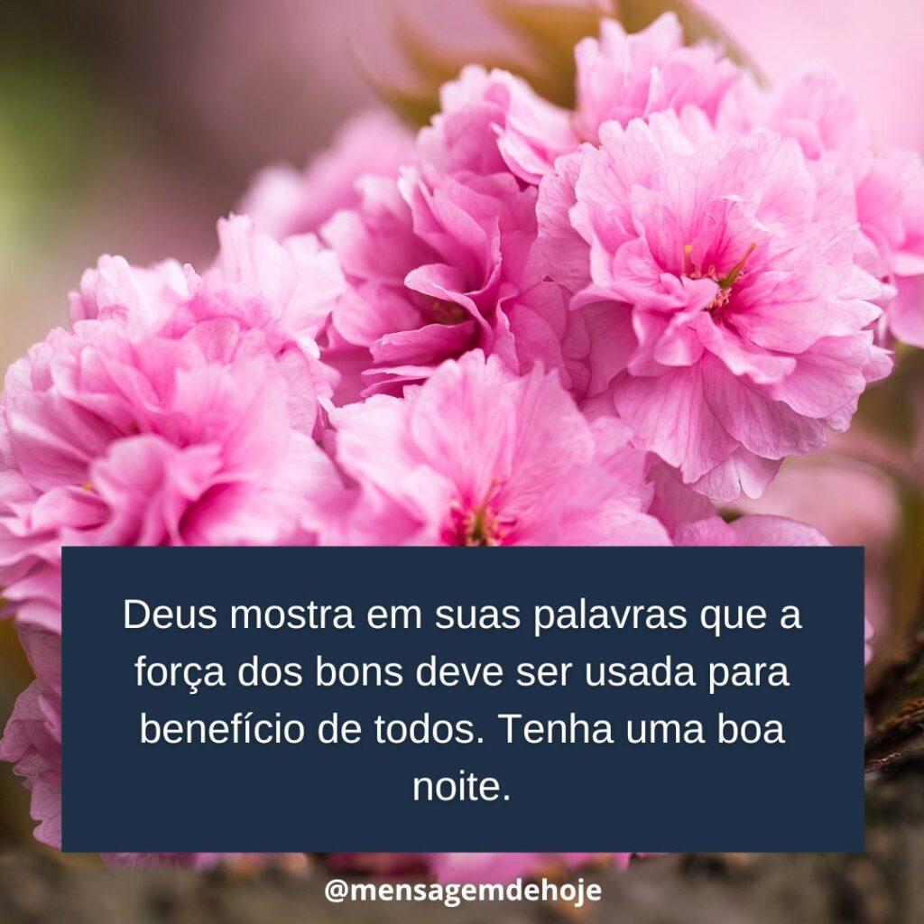 Boa Noite 08 de Janeiro de 2023 19