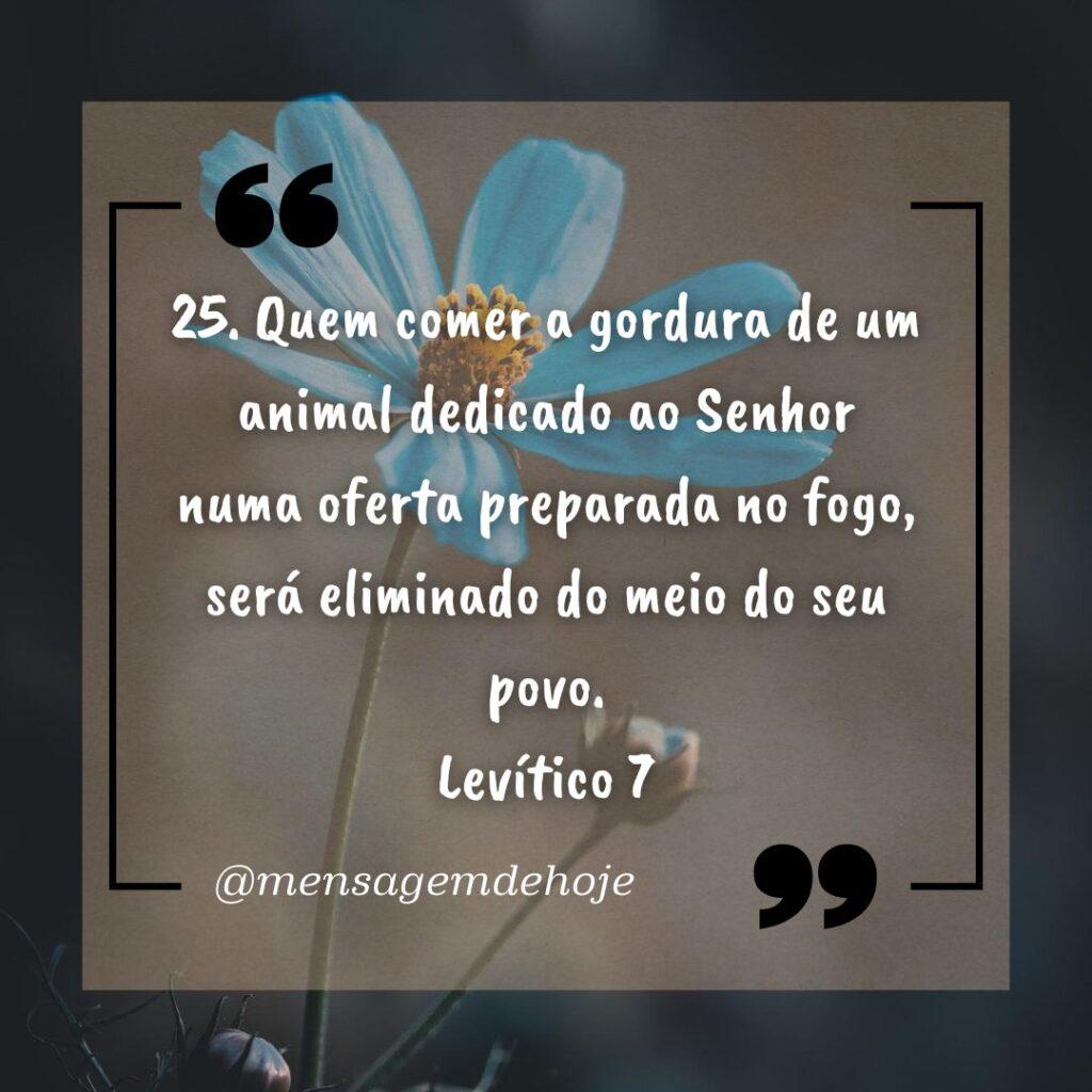 Salmos 07 de Janeiro de 2023 19