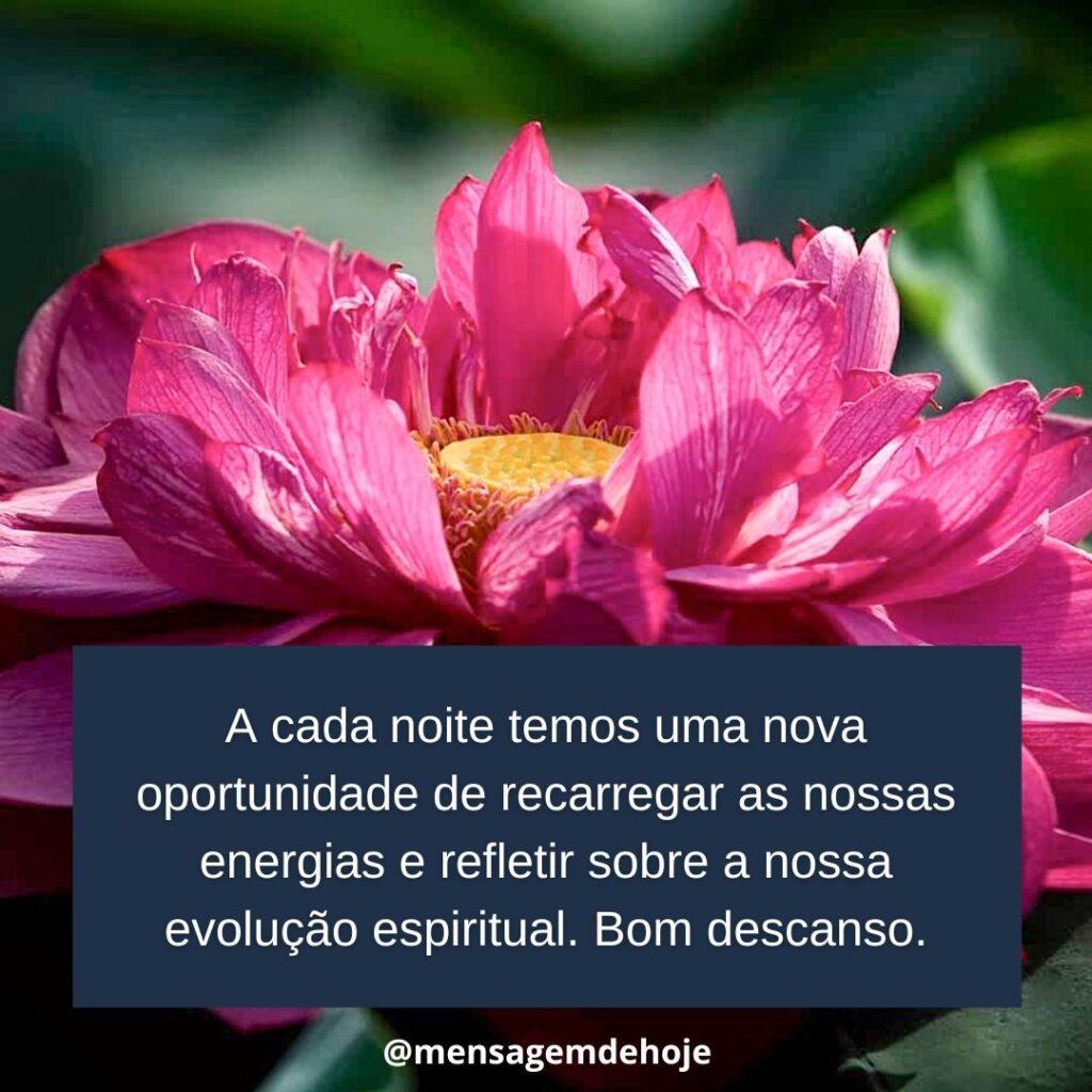 Boa Noite 08 de Janeiro de 2023 3