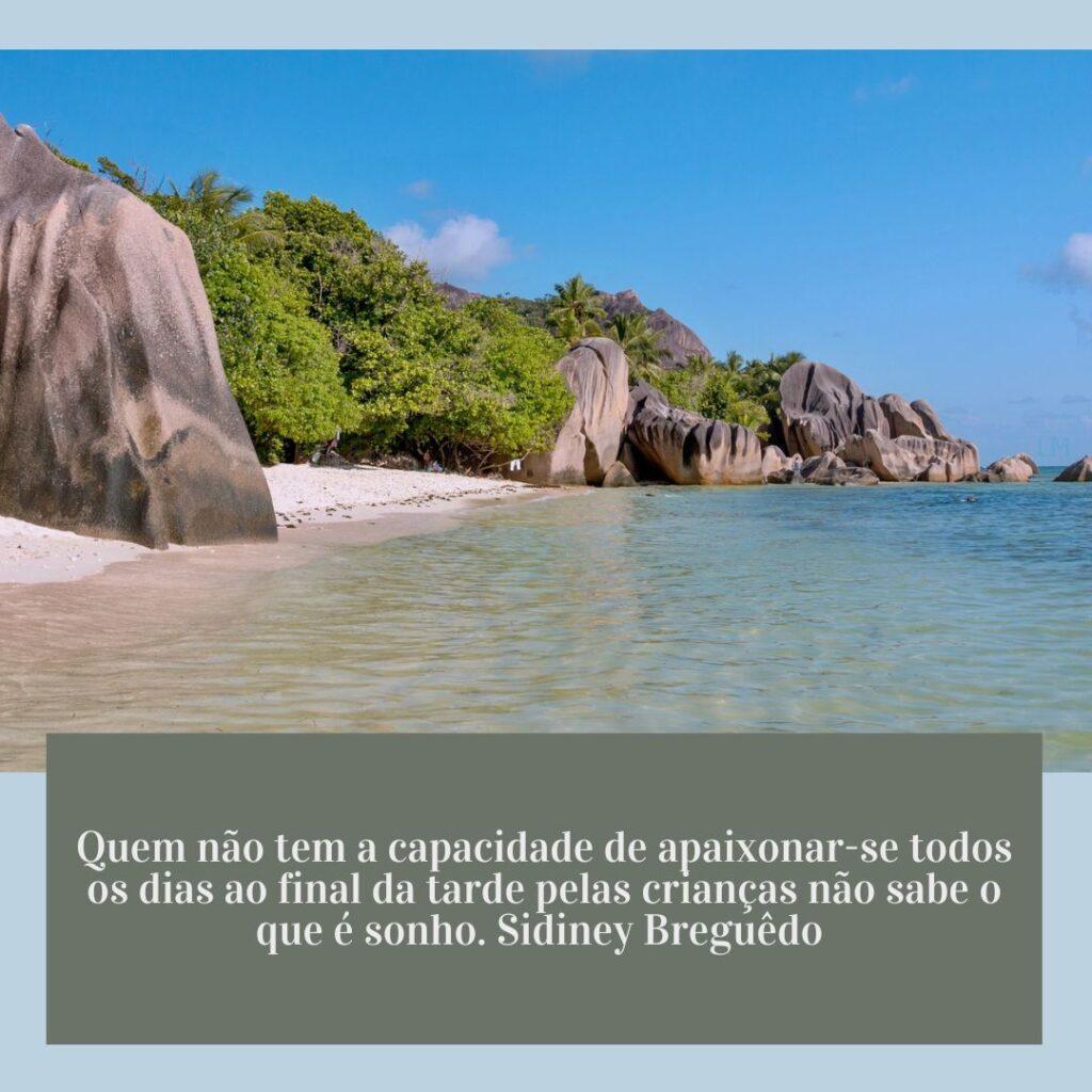Boa Tarde 01 de Janeiro de 2023 7