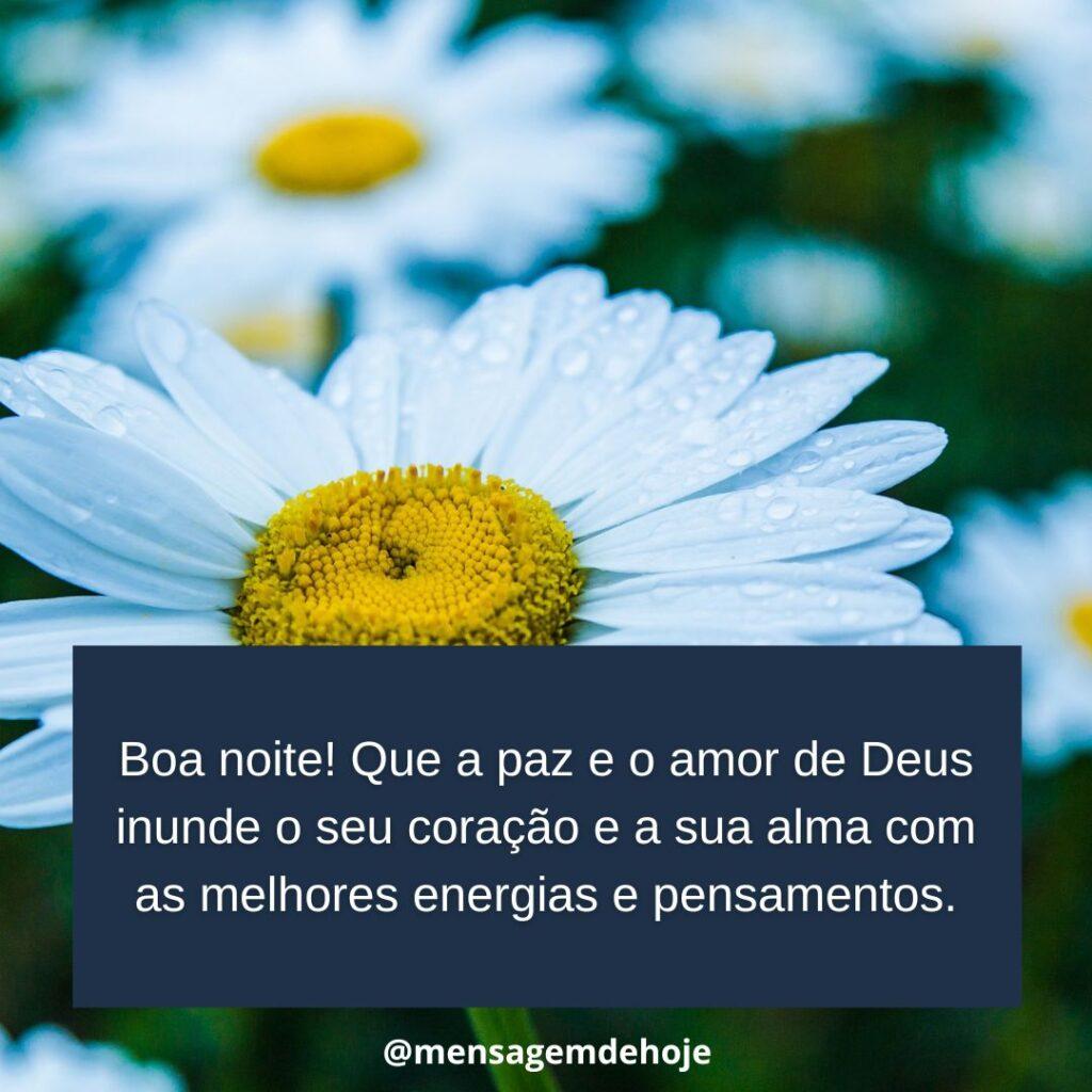 Boa Noite 10 de Janeiro de 2023 5