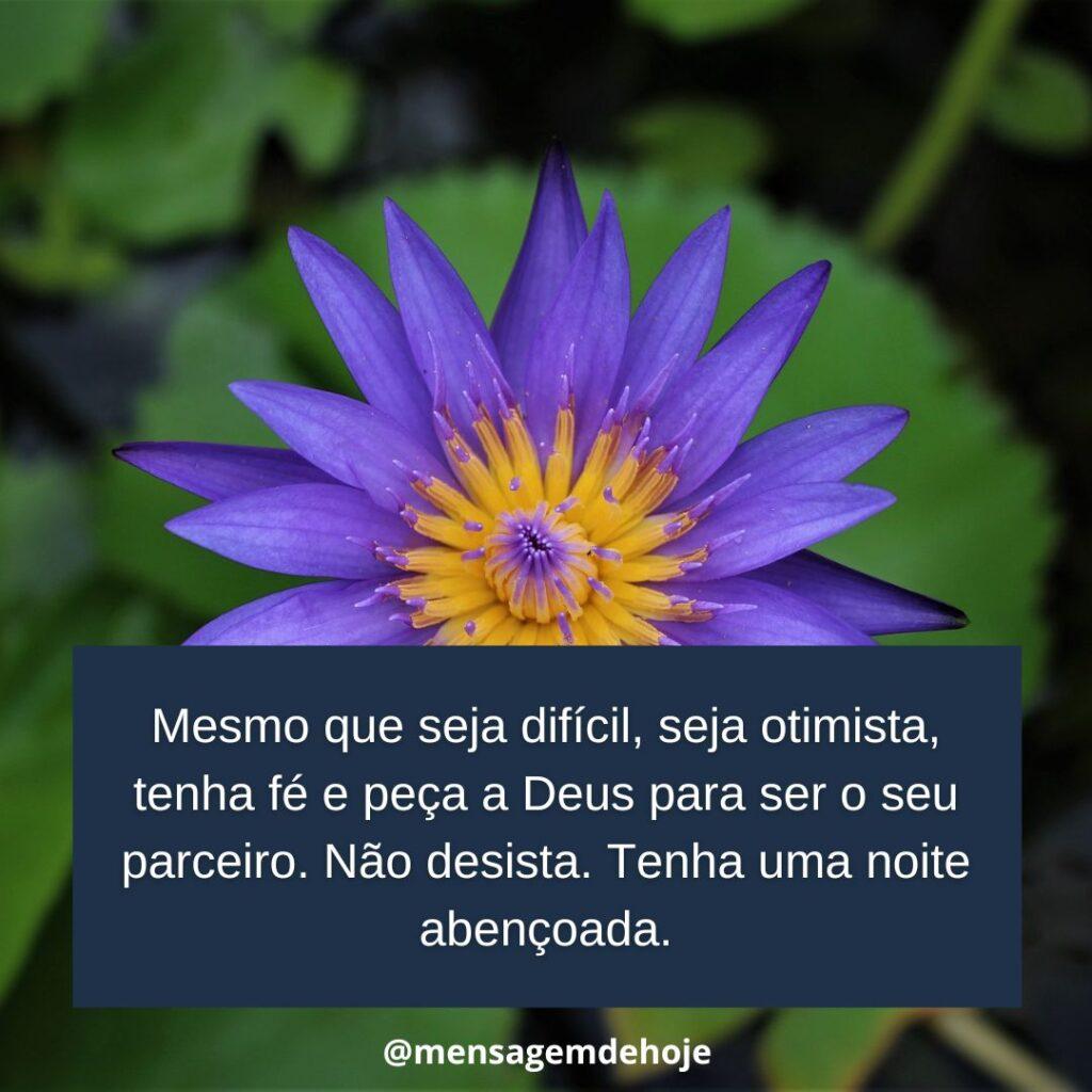 Boa Noite 10 de Janeiro de 2023 13