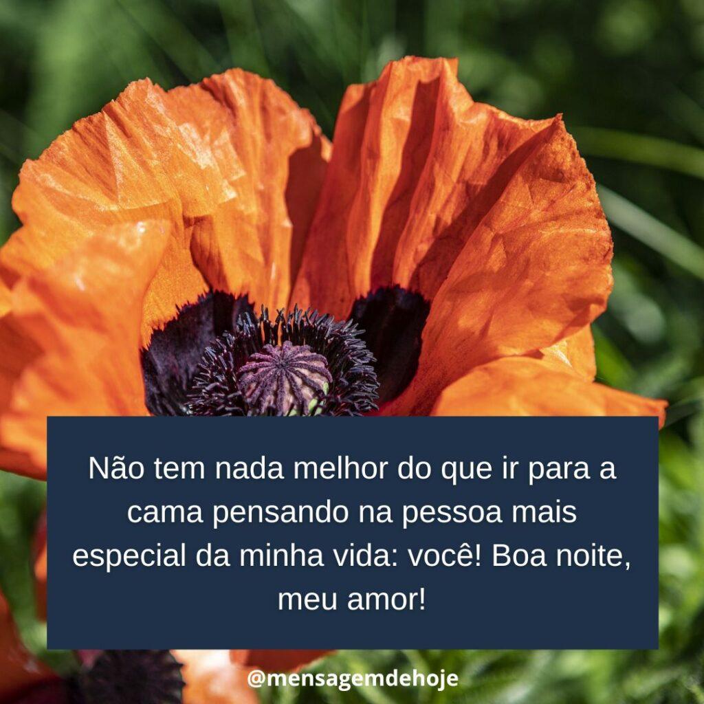 Boa Noite 11 de Janeiro de 2023 11