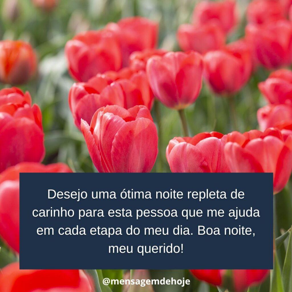 Boa Noite 11 de Janeiro de 2023 15