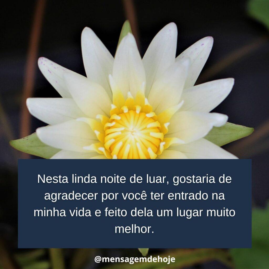 Boa Noite 11 de Janeiro de 2023 19