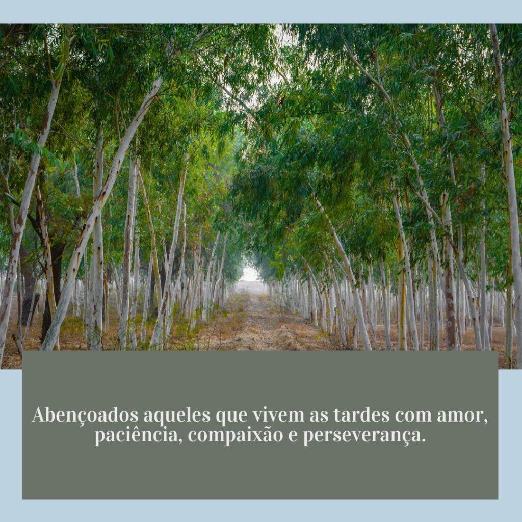 Boa Tarde 03 de Janeiro de 2023 19