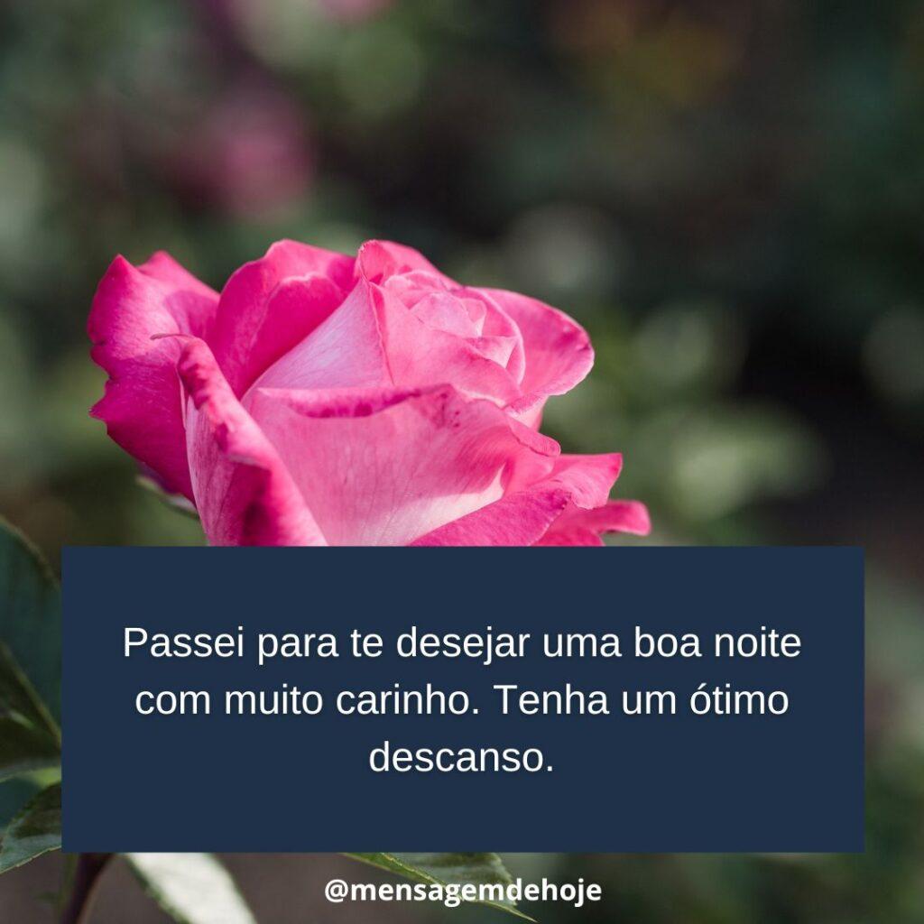 Boa Noite 12 de Janeiro de 2023 7