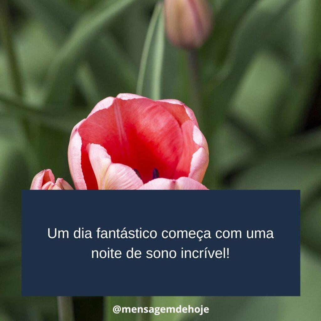 Boa Noite 12 de Janeiro de 2023 11