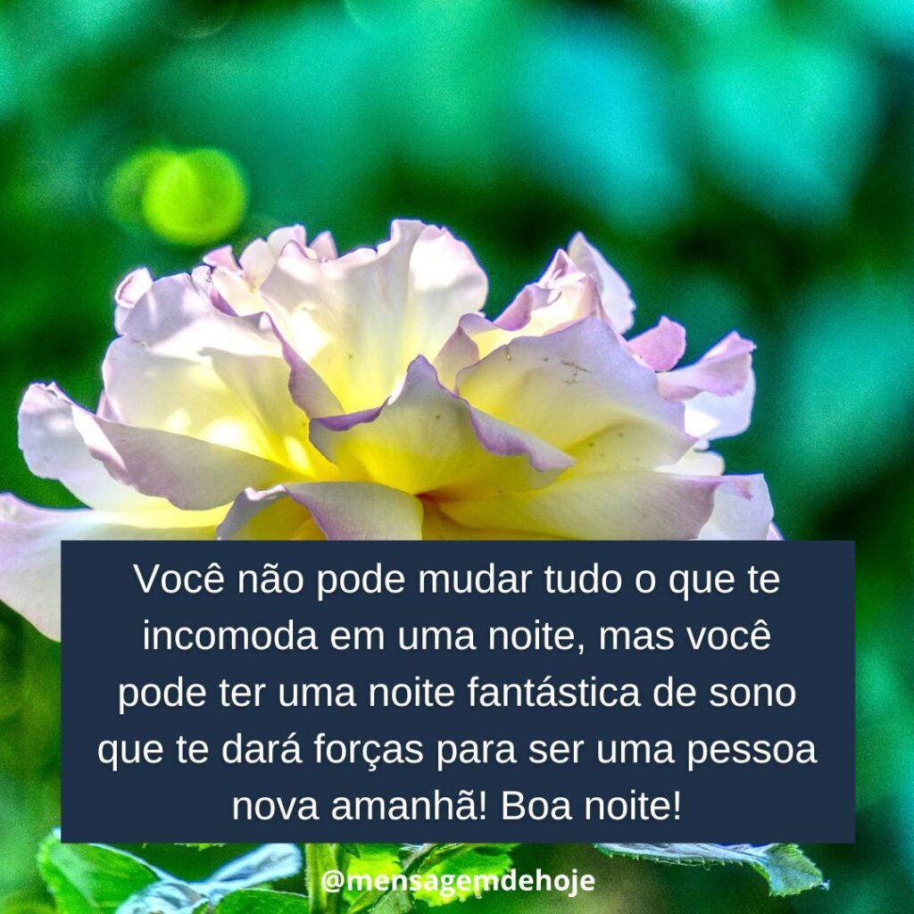 Boa Noite 12 de Janeiro de 2023 15