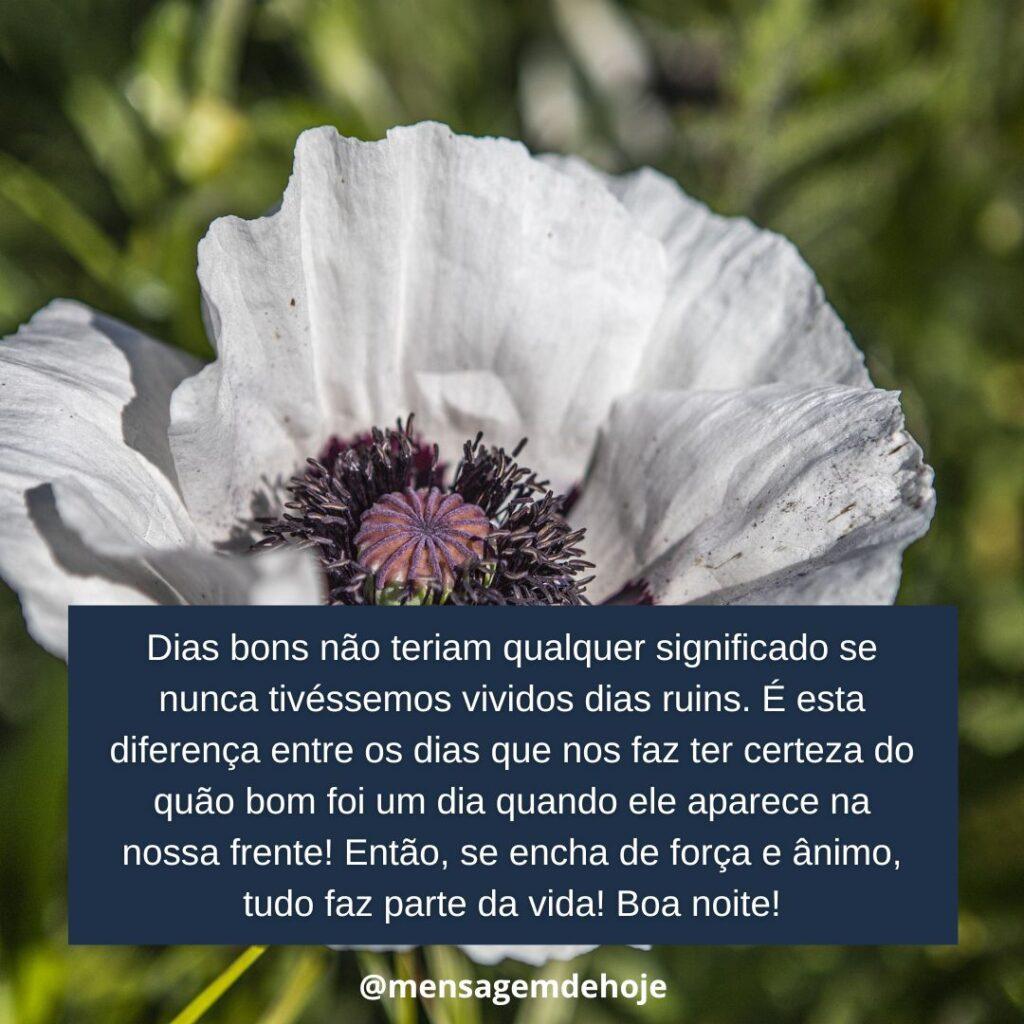 Boa Noite 12 de Janeiro de 2023 19