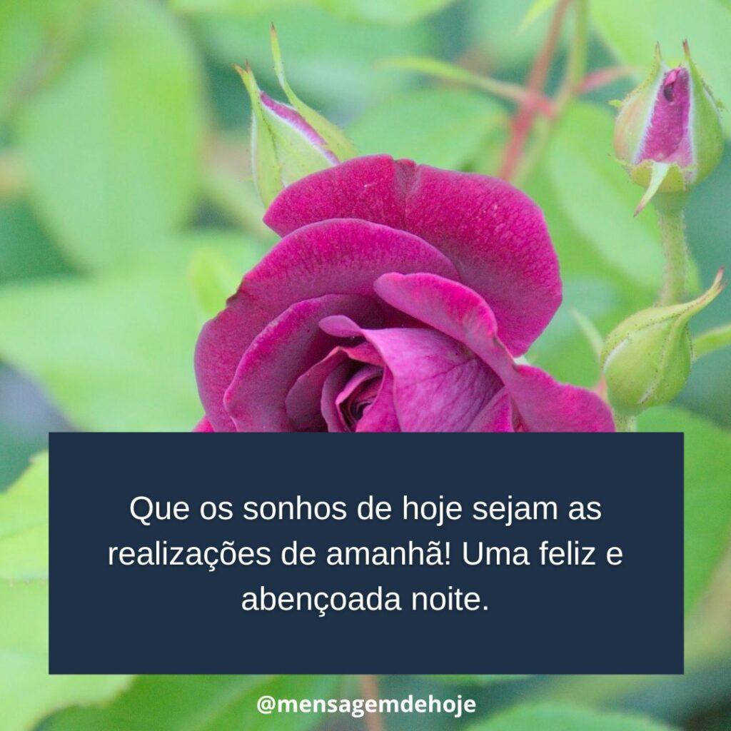 Boa Noite 13 de Janeiro de 2023 7