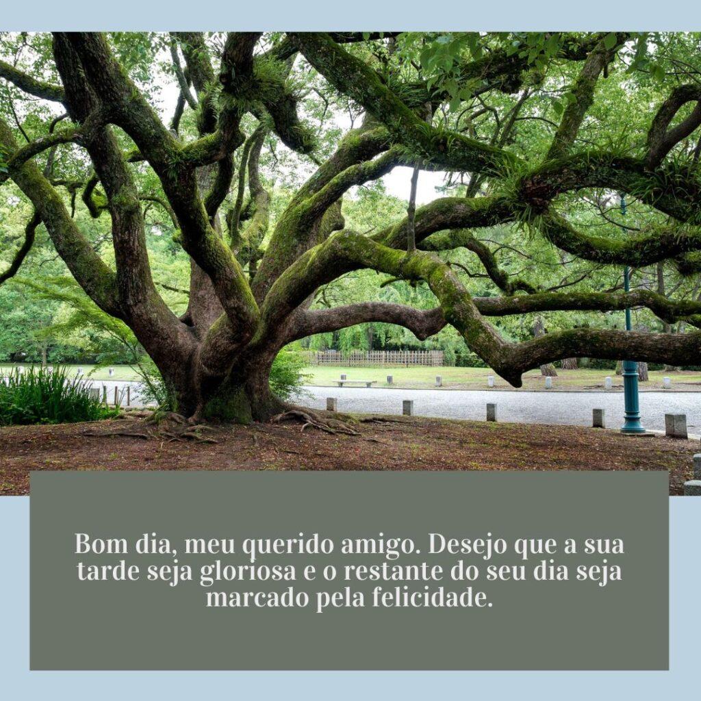 Boa Tarde 05 de Janeiro de 2023 7