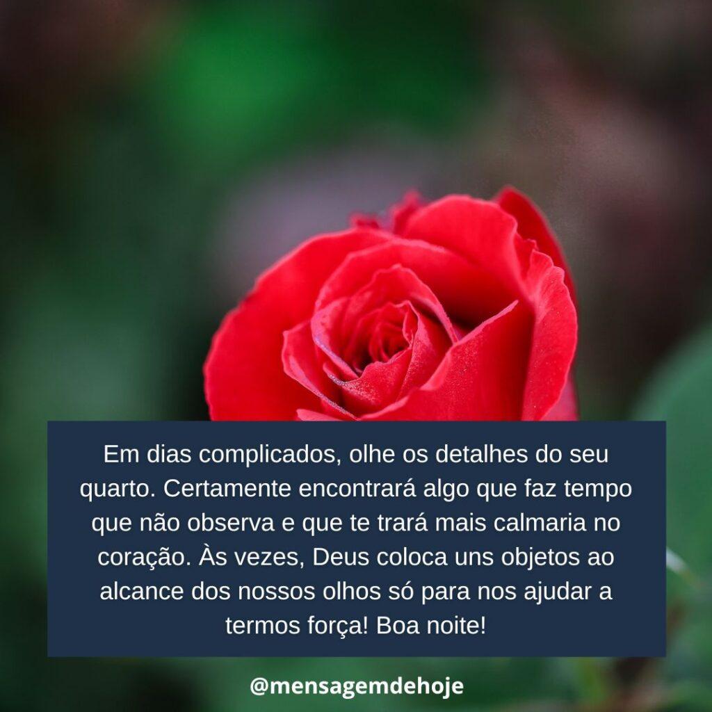 Boa Noite 13 de Janeiro de 2023 11