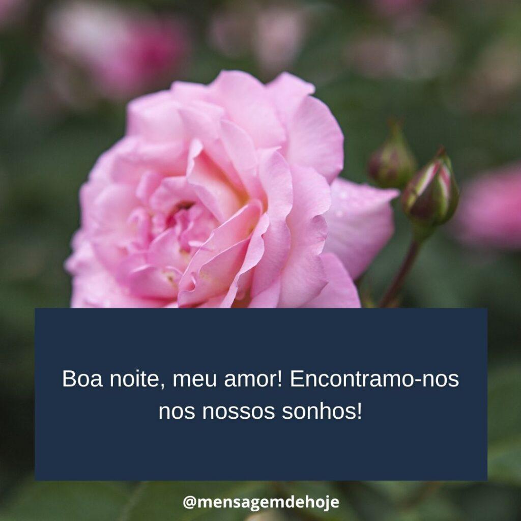Boa Noite 13 de Janeiro de 2023 15