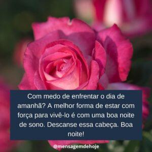 Boa Noite 14 de Janeiro de 2023 11