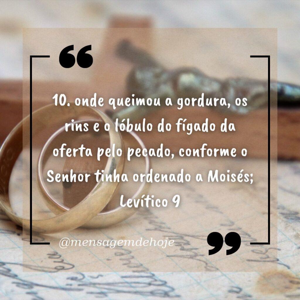 Salmos 13 de Janeiro de 2023 17