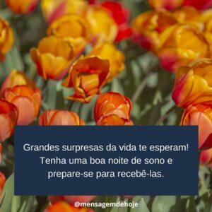 Boa Noite 14 de Janeiro de 2023 19